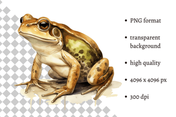 Download Watercolor Frog Illustration - Frog Collection