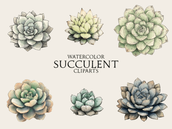 Download Watercolor Succulent Clipart - Succulent clipart Collection
