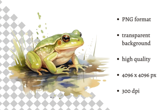Download Watercolor Frog Illustration - Frog Collection