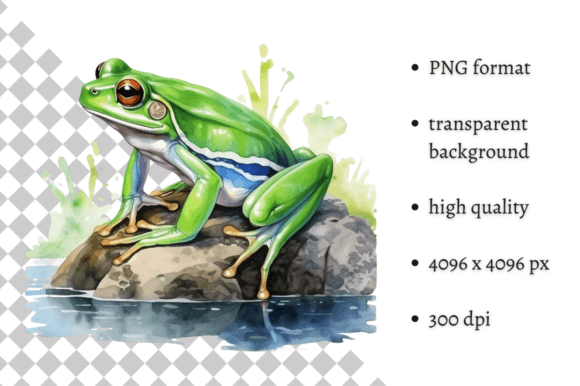 Download Watercolor Frog Illustration - Frog Collection