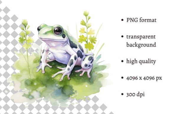 Download Watercolor Frog Illustration - Frog Collection