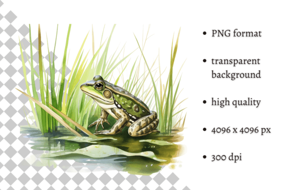 Download Watercolor Frog Illustration - Frog Collection