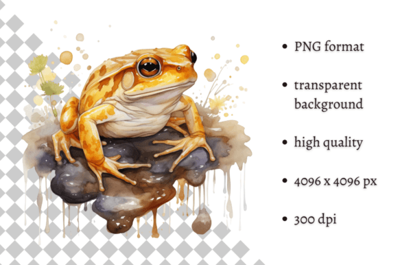 Download Watercolor Frog Illustration - Frog Collection