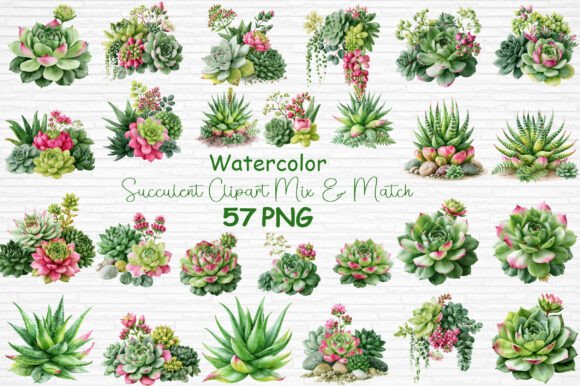 Download Watercolor Succulent Clipart Mix &amp; Match - Succulent clipart Collection