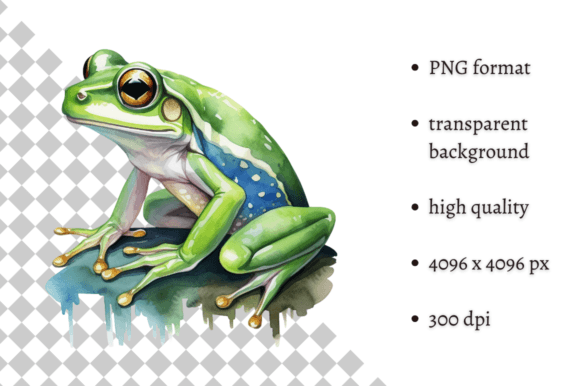 Download Watercolor Frog Illustration - Frog Collection