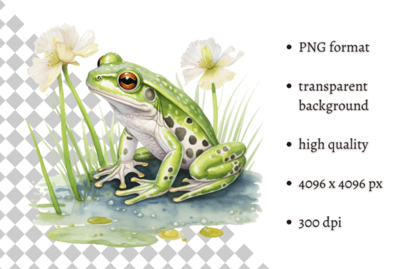 Download Watercolor Frog Illustration - Frog Collection