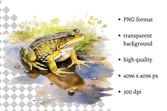 Download Watercolor Frog Illustration - Frog Collection
