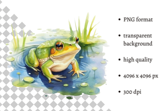 Download Watercolor Frog Illustration - Frog Collection